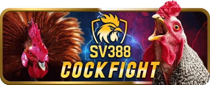 Tài liệu pháp lý về điều khoản dịch vụ của 888 bet app